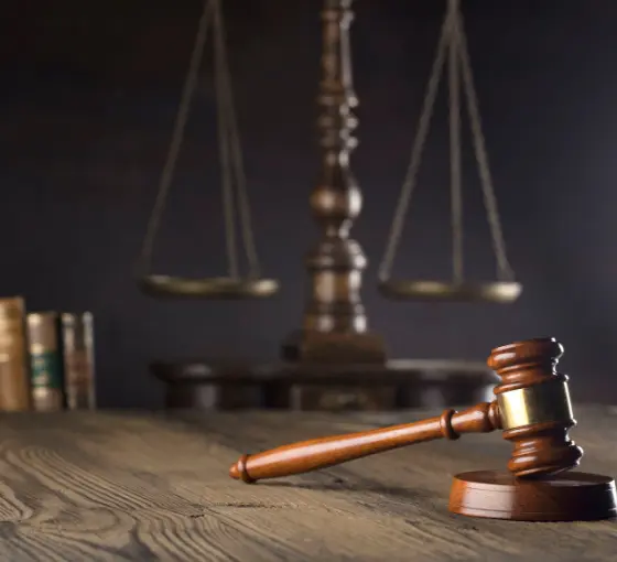 Dolayoba Göç Danışmanlığı